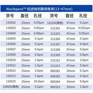 Waterman policarbonato su scala nanometrica PCTE membrana PC diametro 19mm/25mm/47mm membrana nucleare poro dimensione 0.015 ~ 10μm - Product Image 3
