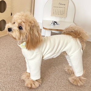 Köpek Kıyafetleri Sonbahar Kış Yeni Stil Alman Kadife Spor Tarzı Süper Yumuşak Sıcak Elastik Tek Parç<span class=keywords><strong>a</strong></span> Dört Ayaklı XS Ev Kullanımı - Product Image 6