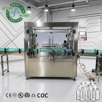 Machine de nettoyage de bouteilles en ligne 1000-3000 bouteilles/heure, qualité alimentaire, 4, 6, 8, 10, 12 têtes, nettoyage multi-étapes pour bouteilles de cola