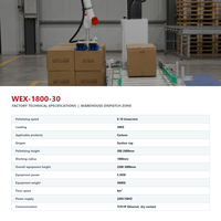 Robot palettiseur universel 30 kg avec ventouses pour cartons, caisses, marchandises emballées et logistique d'usine