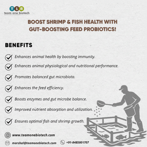 Amélioration de l'absorption des nutriments en aquaculture Alimentation avec probiotiques - Product Image 1