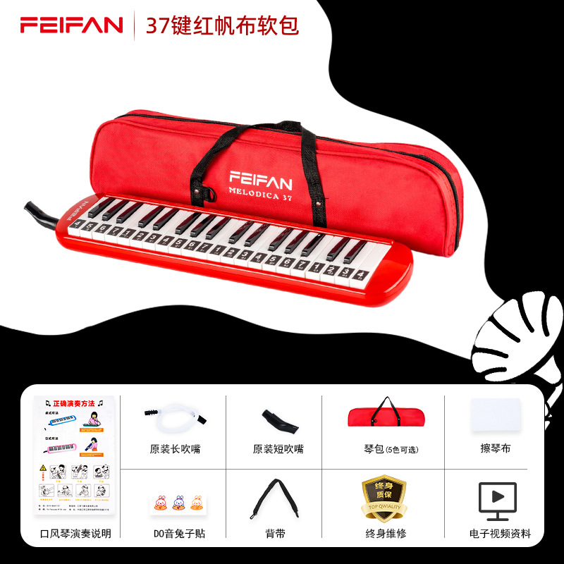 Pack souple 37 touches, modèle de base rouge, sans autocollants pour clavier
