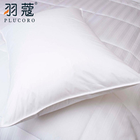 Oreiller en plume de canard pour l'hôtel, coussin médical, vente en gros, économique