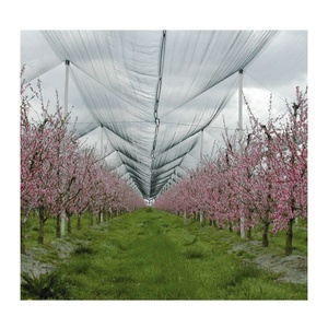 Red protectora de plantas de viñedo de China/red de malla de granizo blanca transparente para huertos de manzanas - Product Image 2