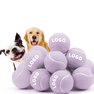 Palla da Tennis personalizzata regalo regalo personalizzato regalo per cani Pet Pet palizzata con Logo