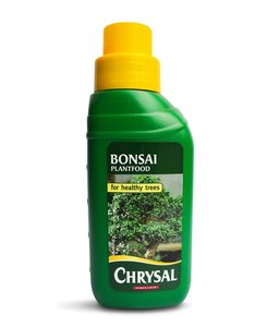 Kit de démarrage d'arbre bonsaï amusant pour apprenti, 5 espèces au choix, épicéa <span class=keywords><strong>bleu</strong></span>, utilisation au sol/suspendu, jardin d'intérieur, culture toute l'année - Product Image 1