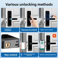 Kunci Pintar Paduan Aluminium dengan Pengenalan Sidik Jari, Kata Sandi, Kartu, dan Kunci, Bersertifikasi CE, Dapat Disesuaikan, Kontrol Tuya/TTlock, Harga Bersertifikat