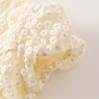 Robe de princesse pour enfants DB2240340 DAVE BELLA, robe de fête en maille jaune, design mignon et doux, mode estivale pour filles