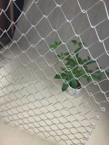 Giá thấp gà/gia súc/Chăn nuôi hàng rào mạ kẽm Chuỗi liên kết dây lưới Net - Product Image 4