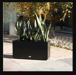 Jardinière suspendue/murale en acier corten, écologique, légère, durable, pour l'extérieur/l'intérieur, décoration de jardin pour la maison - Product Image 5