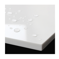 Zhan Chen – revêtement primaire UV inodore, peinture UV haute Performance pour ligne de revêtement de meubles en bois