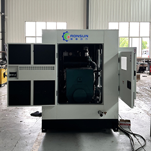 20KW 30KW 50KW 100KW 150KW 200KW 300KW 400KW 500KW Gas naturale Biogas CNG metano generatore CHP Biogas purificazione - Product Image 6
