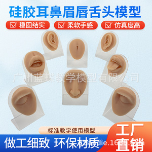 Molde de silicona para practicar características faciales del cuerpo humano para principiantes, para aprender sobre orejas, nariz, ojos, cejas, lengua, labios y ombligo. - Product Image 4