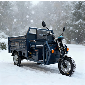 1000W Open Body Factory Supply Big Size Strong Motor 3 Wheel Tricycles 200-300kg Payload 50-70km <b>Range</b> for Use - Product Image 3