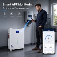 Batterie de stockage intelligente Solard 51.2V 100Ah, 8000 cycles, empilable, LiFePO4 hybride CAN, pour appareils électroménagers, garantie 10 ans, 5kWh
