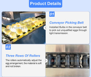 <span class=keywords><strong>เครื่อง</strong></span>คัดแยกไข่อัตโนมัติสแตนเลส 20,000 ฟองต่อชั่วโมง <span class=keywords><strong>เครื่อง</strong></span>คัดแยกไข่สำหรับคัดแยก ล้าง และบรรจุ - Product Image 5