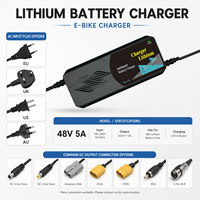 Chargeur de Vélo Électrique au Lithium 48V5A en Gros, Certifié CE ROHS FCC, Efficacité 95%, Alimentation d'Usine, Prises Multiples EU/UK/US/AU Personnalisables