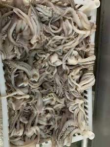 Xúc Tu/Đầu Mực Đông Lạnh - Product Image 5