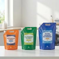 Pochette à bec verseur étanche et robuste en PA/PE, 2L, 3L, 5L, grand sac de stockage de liquides avec poignée pour recharge de détergent et fluides automobiles