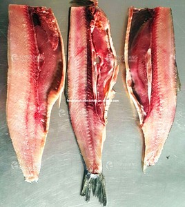 Macchina per Filettare Pesce FGB-180 in Acciaio Inox per Salmone, Sgombro, Sgombro <span class=keywords><strong>Alka</strong></span>, Merluzzo - 40-60 Pezzi/min, Tasso di Filettatura 76-80% - Product Image 5