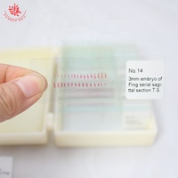 Frog Embryo Prepared Microscope Slides 28Items Microscope Prepared Teaching Slides With Wooden Case