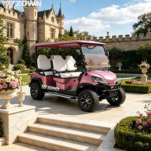 Nouveau modèle de voiturette de golf électrique, plusieurs pièces en option, 2 à 6 places, pour utilisation dans les hôtels, parcs et villas - Product Image 1