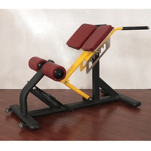 Nouveau banc d'exercice abdominal <span class=keywords><strong>Cybex</strong></span> en acier de couleur commerciale, chaise romaine, extension dorsale pour l'entraînement physique, en vente - Product Image 2