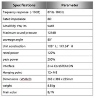 Système audio personnalisé OEM/ODM, sonorisation DJ, système audio professionnel, enceintes Line Array