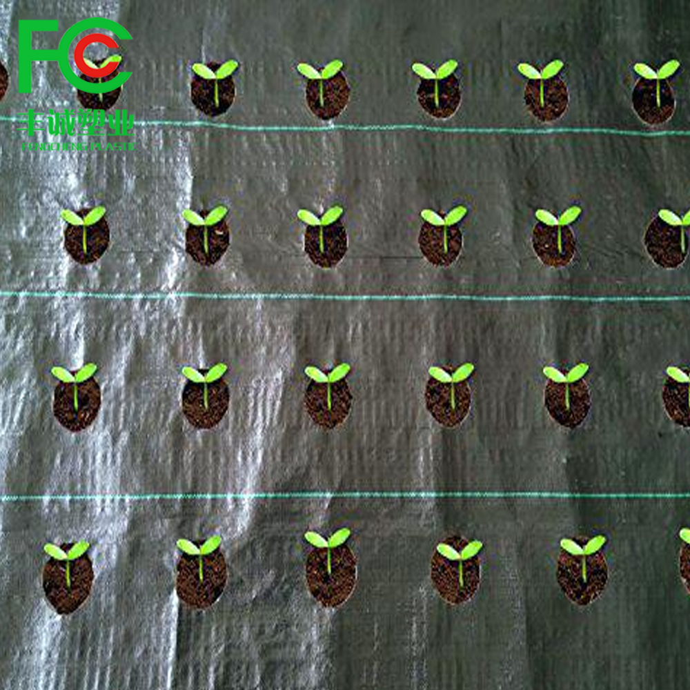 blumenkasten online bestellen Holsteiner Blumenkasten aus Massivholz  Single Variante -