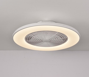 Ventilateur de plafond personnalisé OEM ODM avec lumière, fabrication professionnelle pour les propriétaires de marques e-commerce mondiales - Product Image 1