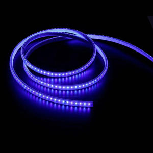 Bande lumineuse LED SMD 2835 rouge <span class=keywords><strong>vert</strong></span> bleu jaune violet AC 220V 110V double rangée 120 LED/m IP67 étanche - Product Image 2