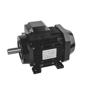 china manufacturer TYTB-160L-2 free energy permanent magnet synchronous reluctance motor