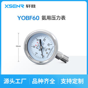 Manomètre d'oxygène sans huile Suzhou Xiansheng YO60BF 25MPa en acier inoxydable, connexion filetée analogique - Product Image 2