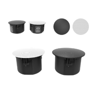Haut-parleur de plafond en acier inoxydable blanc P-DM8 8 pouces, 120W stéréo, télécommande, garantie 3 ans, haut-parleur de plafond, audio professionnel, DJ