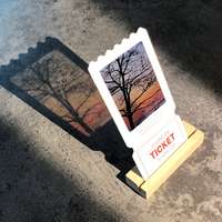 Beidseitig Bedruckte Ticket-Dekorationskarten für Veranstaltungen, Geschenkkarten, PET-Fotofilm VIP-Tickets