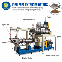 Fabrication de machines à granulés d'aliments pour poissons et extrudeuses pour la ligne de traitement de machines d'alimentation pour poissons de carpe
