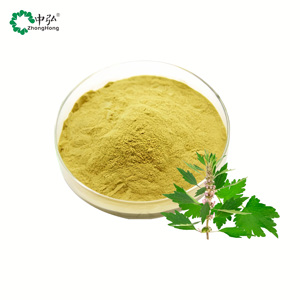 Extrait de <span class=keywords><strong>Leonurus</strong></span> de qualité alimentaire en poudre, extrait d'herbe de mère-vierge chinoise en divers conditionnements (bouteille, fût, boîte, pot Mason), extrait végétal - Product Image 2