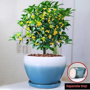 Elegante juego de macetas de cerámica, <span class=keywords><strong>jardineras</strong></span> versátiles <span class=keywords><strong>para</strong></span> interiores/exteriores <span class=keywords><strong>para</strong></span> el jardín del hogar, maceta elegante, decoración de muebles - Product Image 5