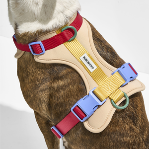 <span class=keywords><strong>Harness</strong></span> Anjing Kucing Desainer <span class=keywords><strong>2026</strong></span>, Produsen Mewah, Kualitas Tinggi, Fashion, Logo Kustom, Bernapas, Tahan Lama - Product Image 5