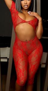 S-2Xl toptan seksi oyma dantel Bodycon tulum kadınlar See Through Mesh kulübü tulum tek parça tulum iç çamaşırı kadın seksi - Product Image 2