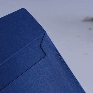 Papel Perlado Personalizado con Logotipo en Relieve para Tarjetas de Felicitación e Invitaciones - Sobres Gruesos Brillantes para Regalo - Product Image 3