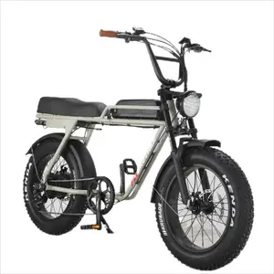 Gốc Điện Chất Béo Enduro Ebike Trong EU USA 20Inch Chất Béo Lốp Động Cơ Điện Xe Đạp Cho Người Lớn Fatebike 1000W 48V E-Xe Đạp