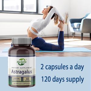 OEM/ODM Astragale (provenant de la racine de la plante Astragalus Membranaceus) |   Complément alimentaire 2000 MG |   Capsule végétarienne |   Non-OGM |   Sans gluten - Product Image 4