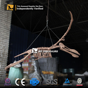 Mon Dino Décoration <span class=keywords><strong>De</strong></span> La <span class=keywords><strong>Maison</strong></span> Petite Taille Squelette <span class=keywords><strong>De</strong></span> Dinosaure Ptérosaure - Product Image 5