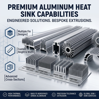 Dissipateur thermique carré en aluminium extrudé sur mesure série 6000, anodisé pour l'électronique de puissance LED, fabrication OEM, découpe et soudage