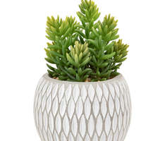 3 Pièces de Petites Plantes Succulentes Artificielles Naturelles avec Pots en Céramique pour Décoration de Bureau et de Maison - Ensembles de Plantes en Pot Artificielles