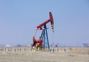 משאבת שמן api 11e יחידת שאיורים שקע יחידת שאיבת עבור שמן כבד ייצור טוב - Product Image 2