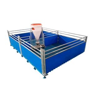 Hot Bán Tự Động Heo Con Thùng Trang Trại Hệ Thống Vườn Ươm Lợn Lồng Lợn Weaner Gian Hàng Lợn Vườn Ươm Bút - Product Image 6