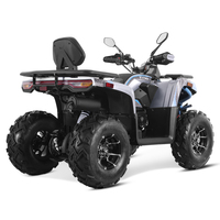 Quad Tao Motor 2025 chinois automatique avec marche arrière, transmission par chaîne, 250cc pour adultes, homologué EPA CE