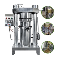 Presse à huile hydraulique à chaud et à froid en acier inoxydable pour sésame, noix et olive